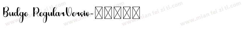 Budge RegularVersio字体转换
